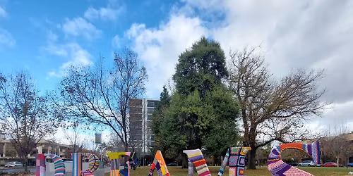 Yarn Bombing Day at Hurtle Square\/Tangkaira
