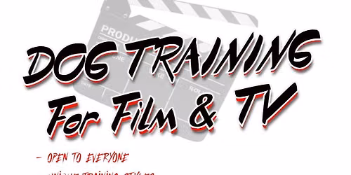 Dog Training For Film & TV