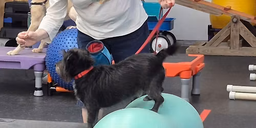 Open Gym (For FITNESS 1 & 2 Graduates)