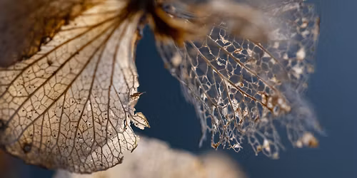 Lydia X Osteoporosis Symposium 2026