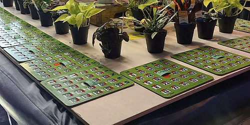 PLANT BINGO: SUMMER SIPS & BLOOMS