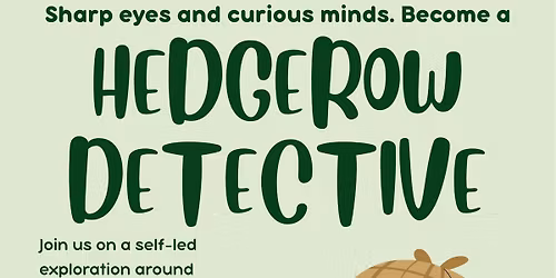 Become a Hedgerow Detective (National Hedgerow Week)