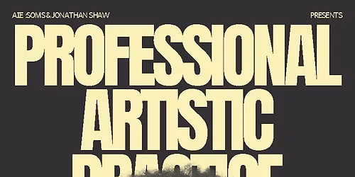 The Professional Artistic Practice