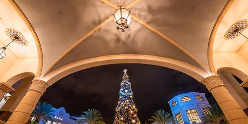 \u2728\ud83c\udf84 Disney Springs Day Trip \u2728\ud83c\udf84