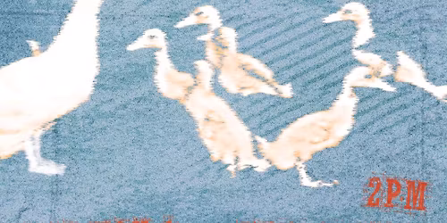 Joe's Band, Elsewhere + Fault \/\/ The Triffid Beer Garden \/\/ Free Entry