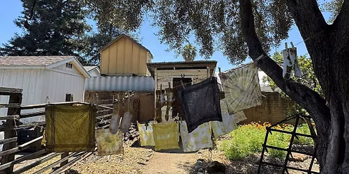 Natural Native Plant Tie\u2011Dye Workshop at Roberto Adobe & Sunol House Museum