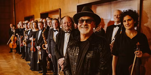 SWR Big Band & Paul Carrack I The Swinging Christmas Show