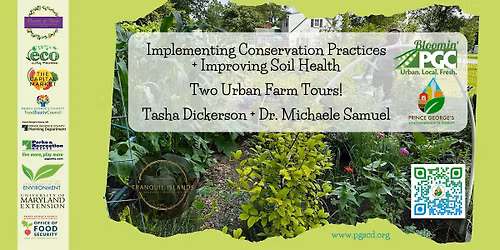 Implementing Conservation Practices + Improving Soil Health on Urban Farms
