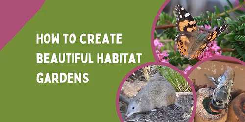 How to create beautiful habitat gardens even in small spaces