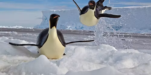 Member Preview Day | Greatest Wildlife Photographs