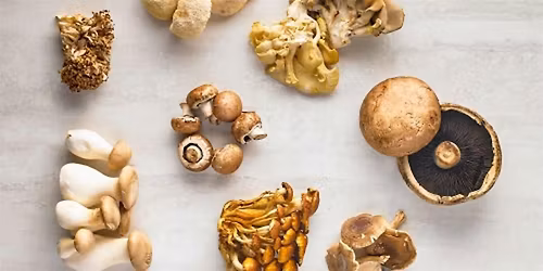 Meatless Meals: Mastering Mushrooms