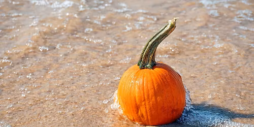 THANKSGIVING IN PARADISE AT MARGARITAVILLE BEACH RESORT FORT MYERS BEACH