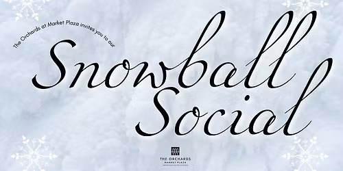 Snowball Social