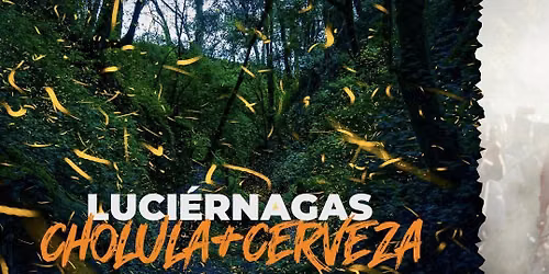 LUCIÉRNAGAS +CERVEZA🦗