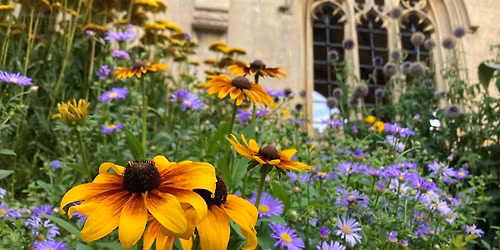 A Guided Walk in St John\u2019s College Cambridge Gardens