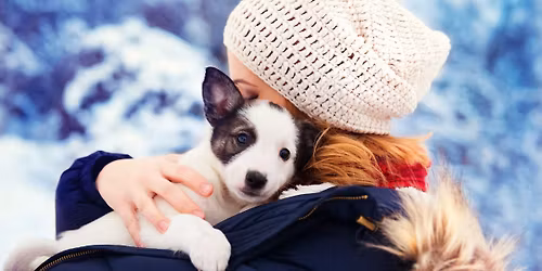 Adoption Event at Petco Kettering