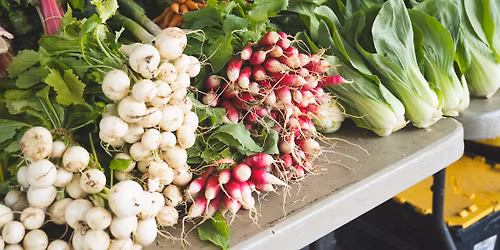 Second Sundays at the West Reading Farmers Market