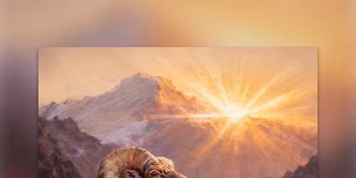 Dall Sheep & Fireweed Fundraiser!