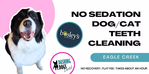 Pet Teeth Cleaning- Victoria Eagle Creek