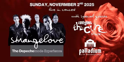 Strangelove: The Depeche Mode Experience