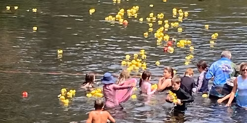 Rubber Duck Regatta