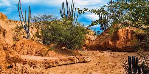 Why Ike @ Guitars & Growlers - Richardson