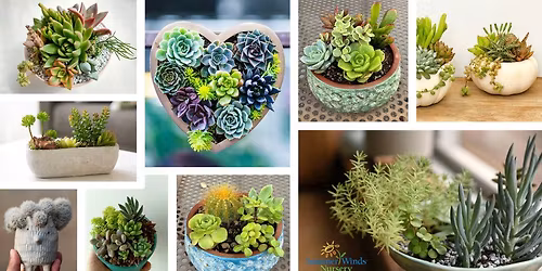 Succulent Bowl Workshop for Mother\u2019s Day- Glendale 