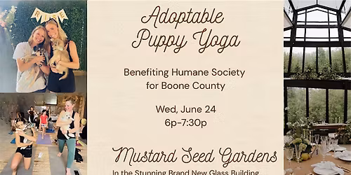 Puppy Yoga at Mustard Seed Gardens - Downward Dog & Adoptable Puppies