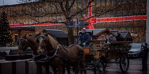 Gratis hestevognsk\u00f8rsel i december