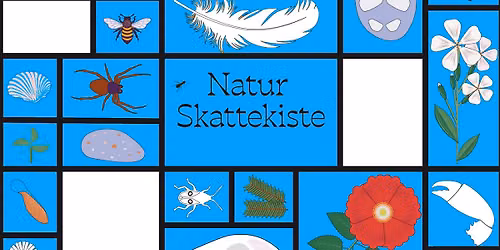  Natur Skattekiste i Sommer p\u00e5 Stranden 