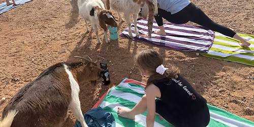 Sunrise Goat Yoga 