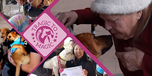 OCEANSIDE Adoption Event