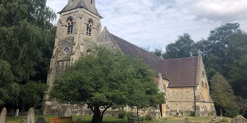 A Trail in the Ancient Woodland - Epping Forest Guided Walk