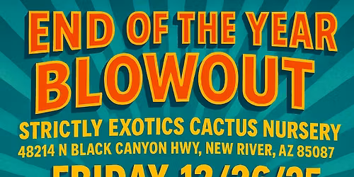 End of the Year Blowout