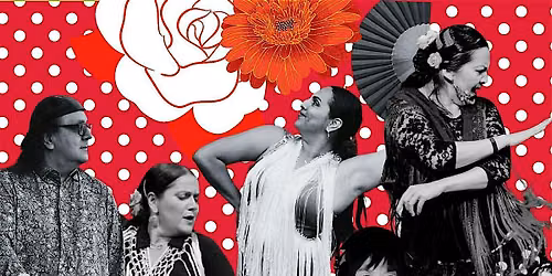 Flamenco Jaleo at the Gulbar