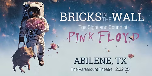 Bricks In The Wall - Pink Floyd Tribute