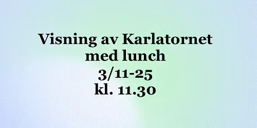 Visning av Karlatornet med Lunch