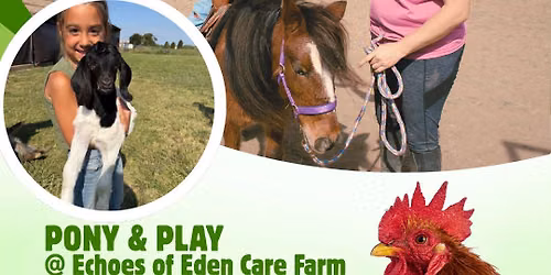 Pony & Play
