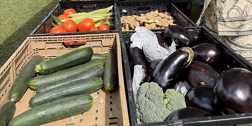 Halloween Harvest Community Market at Huizenga Park