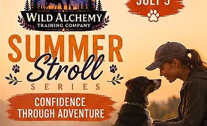 Summer stroll, A walk with Wild Alchemy