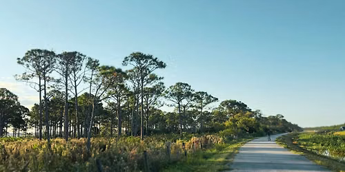 Autumn Morning Stroll on the East Coast Greenway