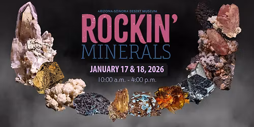 Rockin' Minerals