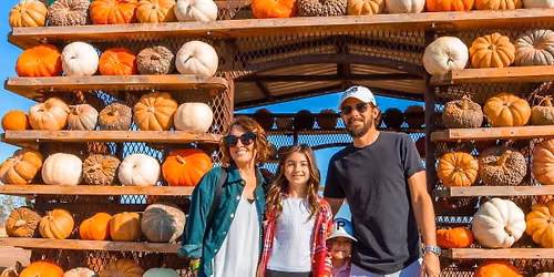 Maxwell\u2019s Pumpkin Farm
