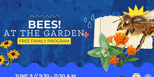 BEES! at the Garden