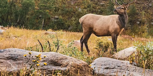 Hunting in a Changing World