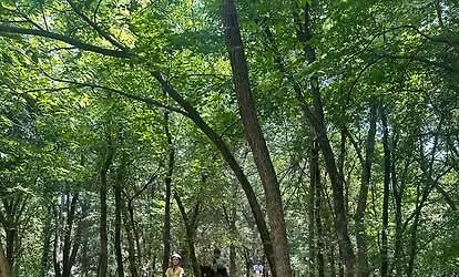 Camp Cadence - Riding Academy Summer Camp 