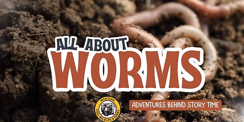Adventures Beyond Story Time: All About Worms