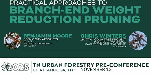 Pre-Conference Workshop: Branch End Weight Reduction Pruning