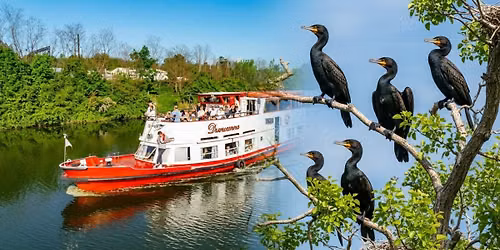Wakacyjny Rejs do Kolonii Kormoran\u00f3w