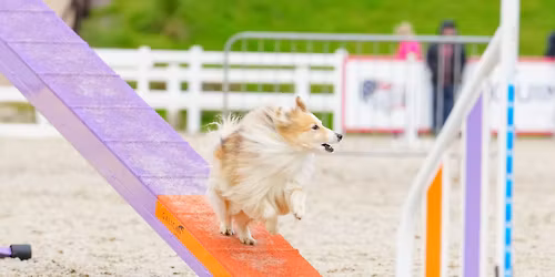 Non-show environment measuring South Gloucs